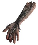 Pro-Series Decomposing Severed Arm Prop molded from a real person 